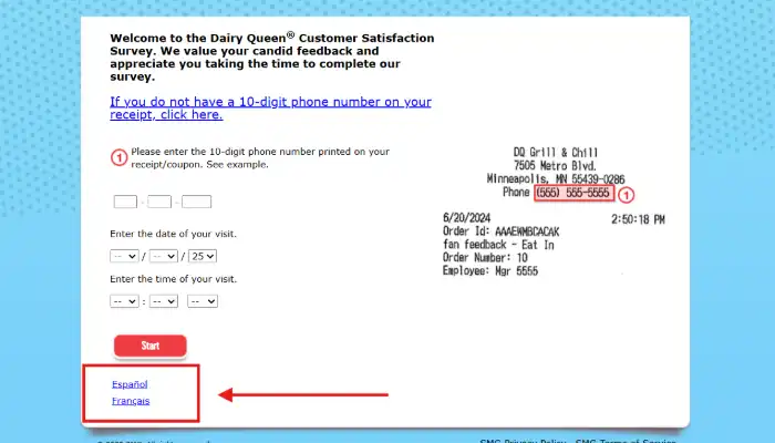 Screenshot of DQFanSurvey Languages
